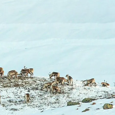 בית נופש Amazing In With Kitchen Amotsdal