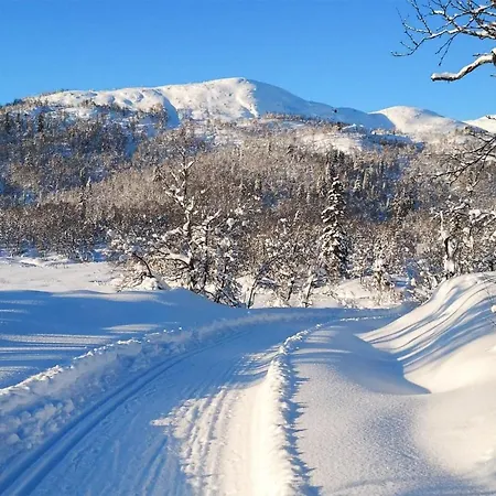 Amazing In With Kitchen